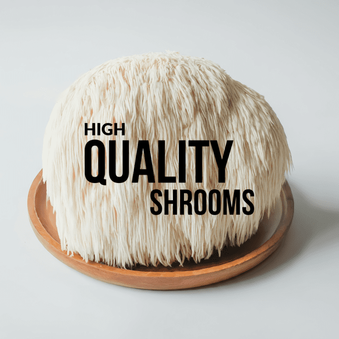 Organic Lion's Mane Powder (50g)