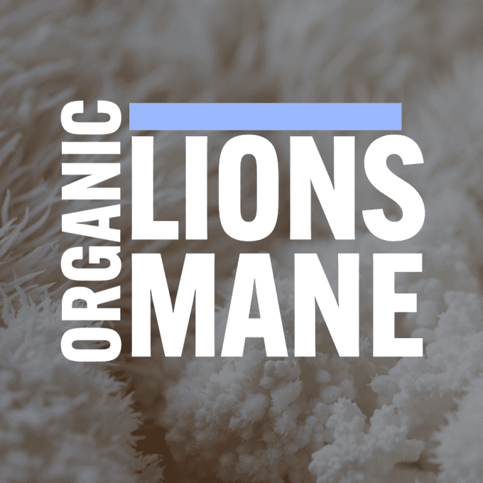 Organic Lion's Mane Gummies | Grown in the EU | 1000mg | 60 Gummies